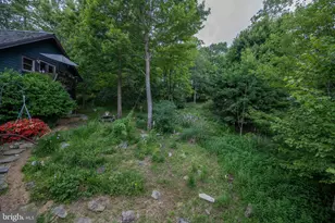 188 Highline Dr, Mc Henry, MD 21541 - Photo 101