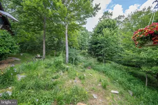 188 Highline Dr, Mc Henry, MD 21541 - Photo 105