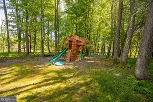 41 Boyd Paugh Ln, Oakland, MD 21550 - Photo 87