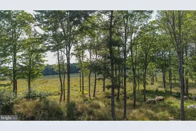 Lot 5 Irwin Way, Mc Henry, MD 21541 - Photo 5