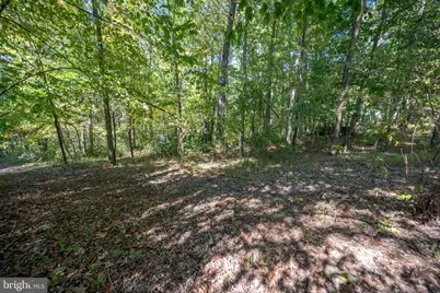 Lot 9 Normas Way, Mc Henry, MD 21541 - Photo 5