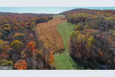 2527 Pigs Ear Road, Grantsville, MD 21536 - Photo 93