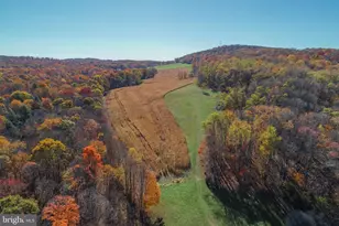 2527 Pigs Ear Rd, Grantsville, MD 21536 - Photo 93