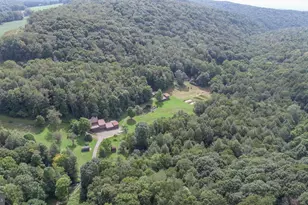 2527 Pigs Ear Rd, Grantsville, MD 21536 - Photo 83