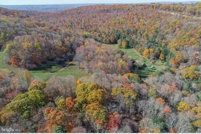 2527 Pigs Ear Road, Grantsville, MD 21536 - Photo 91