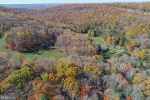 2527 Pigs Ear Rd, Grantsville, MD 21536 - Photo 91