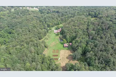 2527 Pigs Ear Road, Grantsville, MD 21536 - Photo 85