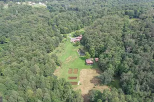 2527 Pigs Ear Rd, Grantsville, MD 21536 - Photo 85