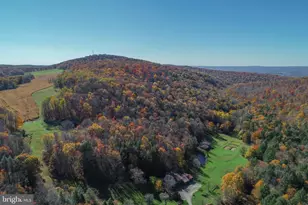 2527 Pigs Ear Rd, Grantsville, MD 21536 - Photo 89