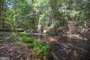 2527 Pigs Ear Rd, Grantsville, MD 21536 - Photo 9