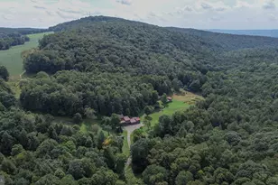 2527 Pigs Ear Rd, Grantsville, MD 21536 - Photo 81