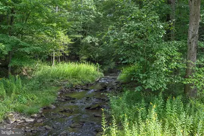 2527 Pigs Ear Road, Grantsville, MD 21536 - Photo 75