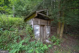 2527 Pigs Ear Rd, Grantsville, MD 21536 - Photo 37