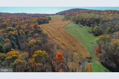 2527 Pigs Ear Road, Grantsville, MD 21536 - Photo 5