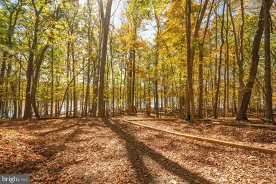 2725 Stockslager Road, Oakland, MD 21550 - Photo 115