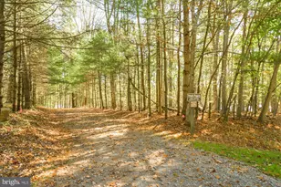 2725 Stockslager Rd, Oakland, MD 21550 - Photo 45