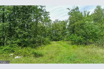 Lot 26 Rocky Gap Trl, Mc Henry, MD 21541 - Photo 7