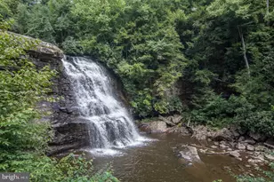 1118 Lake Shore Dr, Oakland, MD 21550 - Photo 75