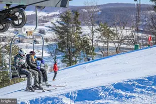 1118 Lake Shore Dr, Oakland, MD 21550 - Photo 85