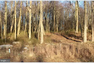 Lot 8 Fox Run Dr, Mc Henry, MD 21541 - Photo 5