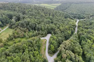 Lot 1 Cherrywood Dr, Oakland, MD 21550 - Photo 1