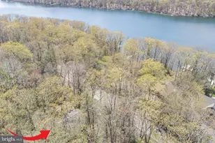 3084 Lake Shore Dr, Oakland, MD 21550 - Photo 61