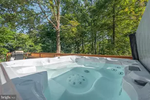 1723 Marsh Hill Rd, Mc Henry, MD 21541 - Photo 25