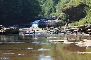 161 Marsh Hill Rd, Mc Henry, MD 21541 - Photo 43