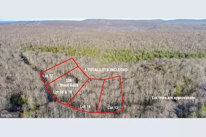 328 Stool Rock Road, Oakland, MD 21550 - Photo 9