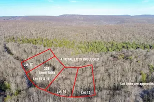 328 Stool Rock Rd, Oakland, MD 21550 - Photo 9