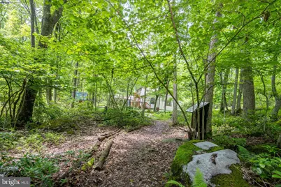 328 Stool Rock Road, Oakland, MD 21550 - Photo 105