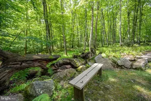 328 Stool Rock Rd, Oakland, MD 21550 - Photo 25