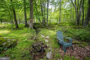 328 Stool Rock Rd, Oakland, MD 21550 - Photo 107