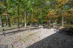 328 Stool Rock Rd, Oakland, MD 21550 - Photo 133