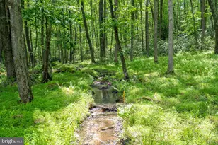 328 Stool Rock Rd, Oakland, MD 21550 - Photo 95