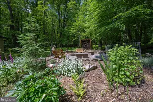 328 Stool Rock Rd, Oakland, MD 21550 - Photo 19