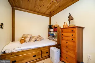 328 Stool Rock Rd, Oakland, MD 21550 - Photo 41