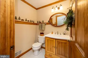 328 Stool Rock Rd, Oakland, MD 21550 - Photo 69