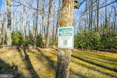 328 Stool Rock Road, Oakland, MD 21550 - Photo 15