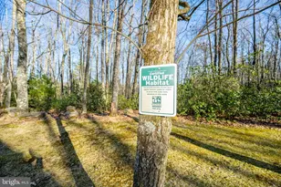 328 Stool Rock Rd, Oakland, MD 21550 - Photo 15