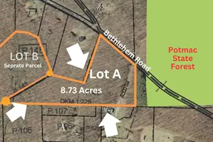 Bethlehem Rd, Oakland, MD 21550 - Photo 1