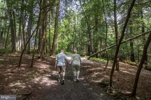 56 Bee Tree Ln, Oakland, MD 21550 - Photo 125