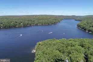 56 Bee Tree Ln, Oakland, MD 21550 - Photo 111