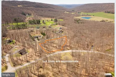 31 Hailees Lane, Mc Henry, MD 21541 - Photo 9