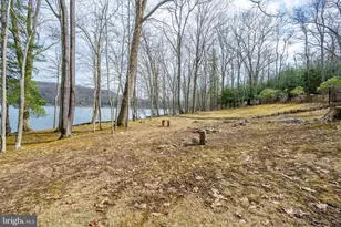 1909 Marsh Hill Rd, Mc Henry, MD 21541 - Photo 107