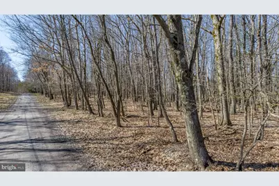 433 San Francisco Street, Oakland, MD 21550 - Photo 57