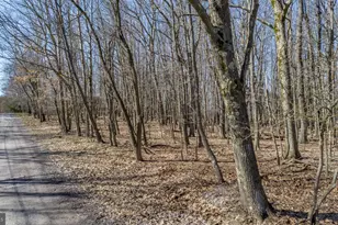 433 San Francisco St, Oakland, MD 21550 - Photo 57