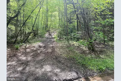 Lot 3 Deer Run Road, Oakland, MD 21550 - Photo 9