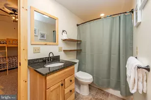 37 Ridgeline Trl, Mc Henry, MD 21541 - Photo 47