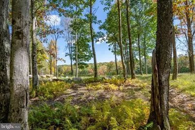 18 Green Jacket Ct, Mc Henry, MD 21541 - Photo 3